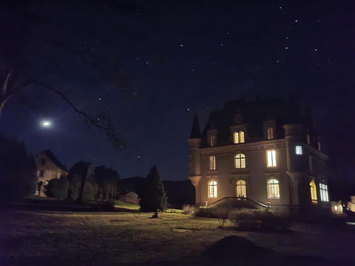 Chateau De Chazelpaud Saint-Bard Extérieur photo