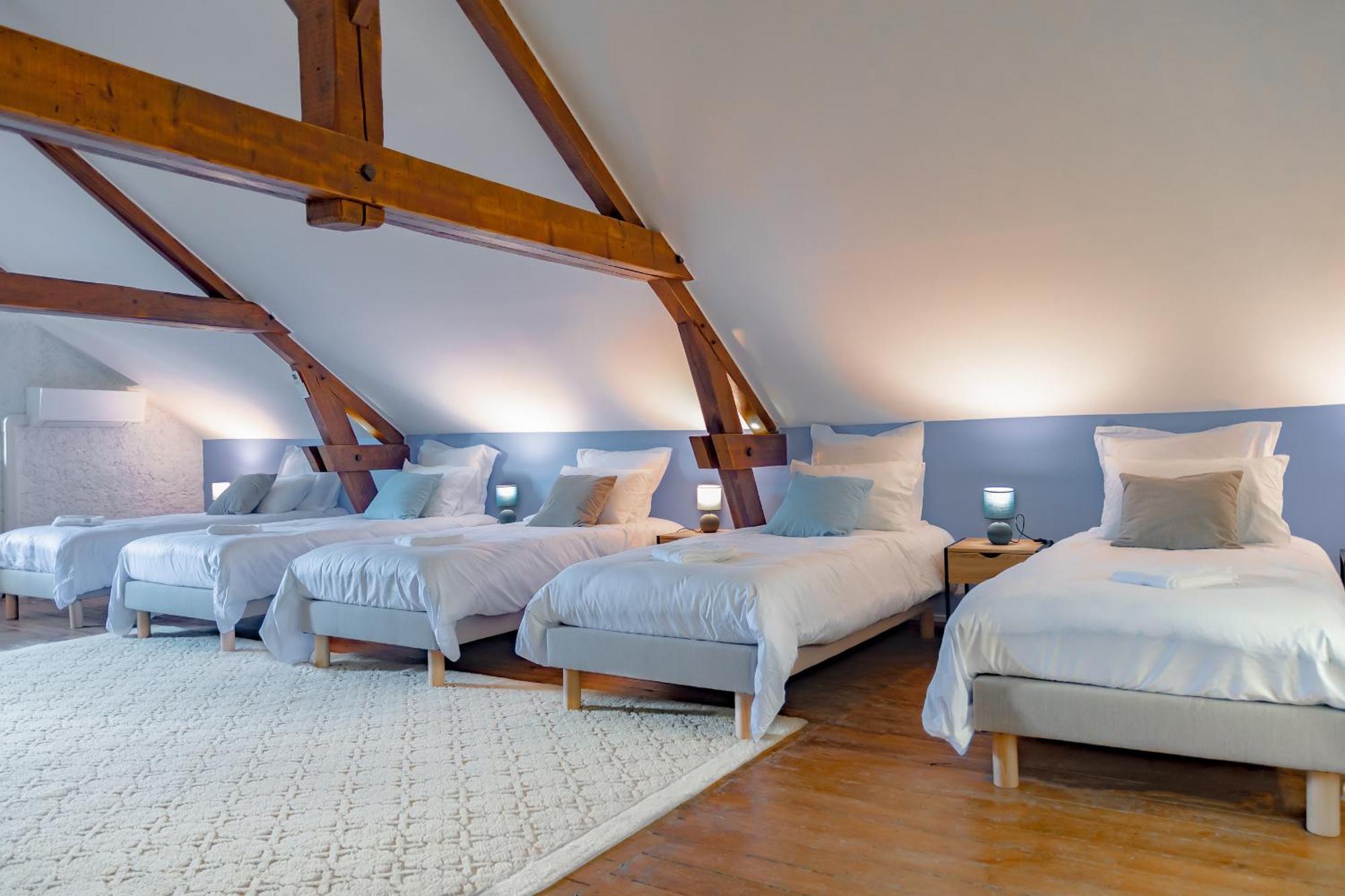 Chateau De Chazelpaud Saint-Bard Extérieur photo